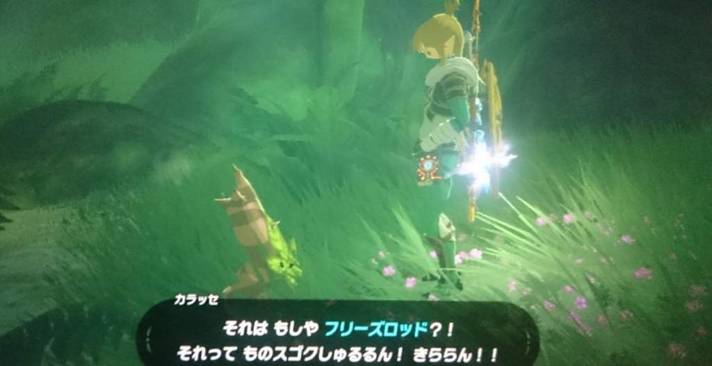 ゼルダの伝説ティアーズオブザキングダム攻略 ゼルダの伝説ティアーズオブザキングダム攻略